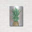«Pineapple On Coral I» par Grace Pop «Luxe» par Grace Popp