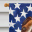 Polyester à 2 côtés 28 x 40 po drapeau maison-1879433999