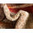 Cotati Abstract Indoor Rug-20250189
