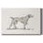 Neutral Pointer I Premium Gallery Wrapped Canvas - Ready to Hang-1631202159