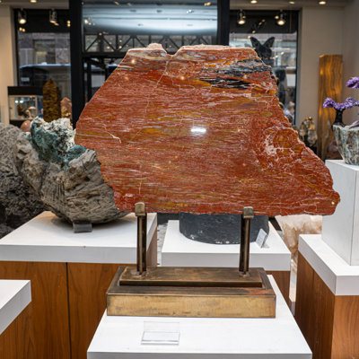 Polished Petrified Wood Slap/Slice