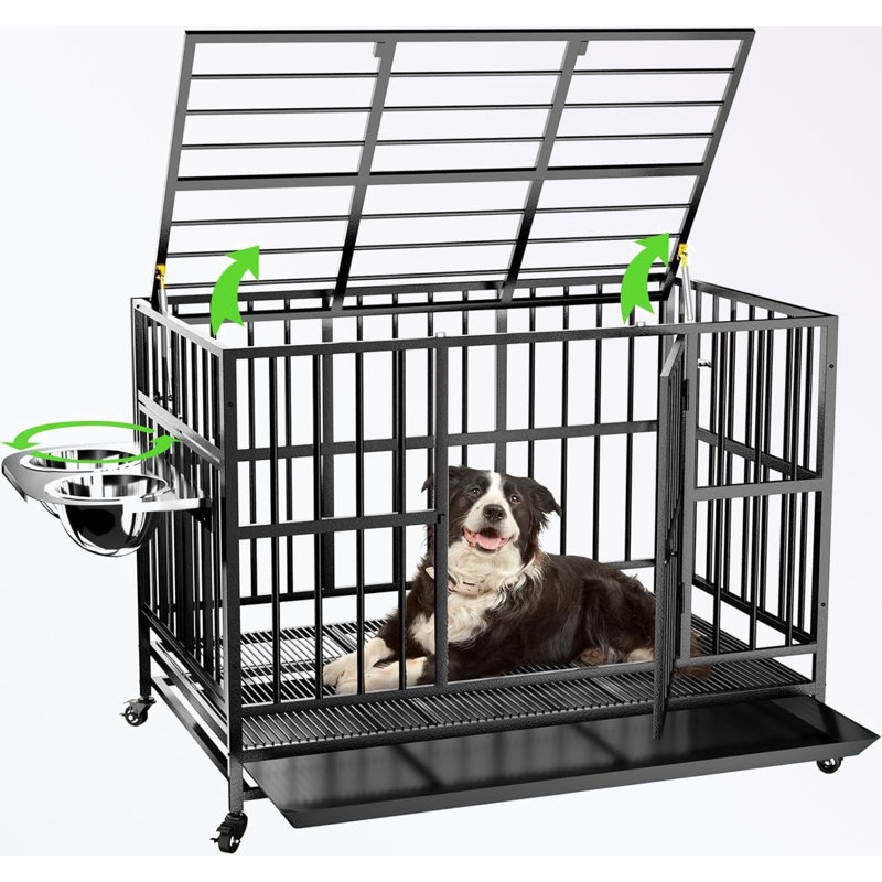 Cage pour chien à structure métallique avec 2 bols réglables