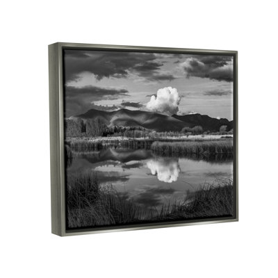 «Puffy Cloud Over Mountain Grassy Marsh Landscape» par Steve Smith - photographie à cadre flottant sur toile
