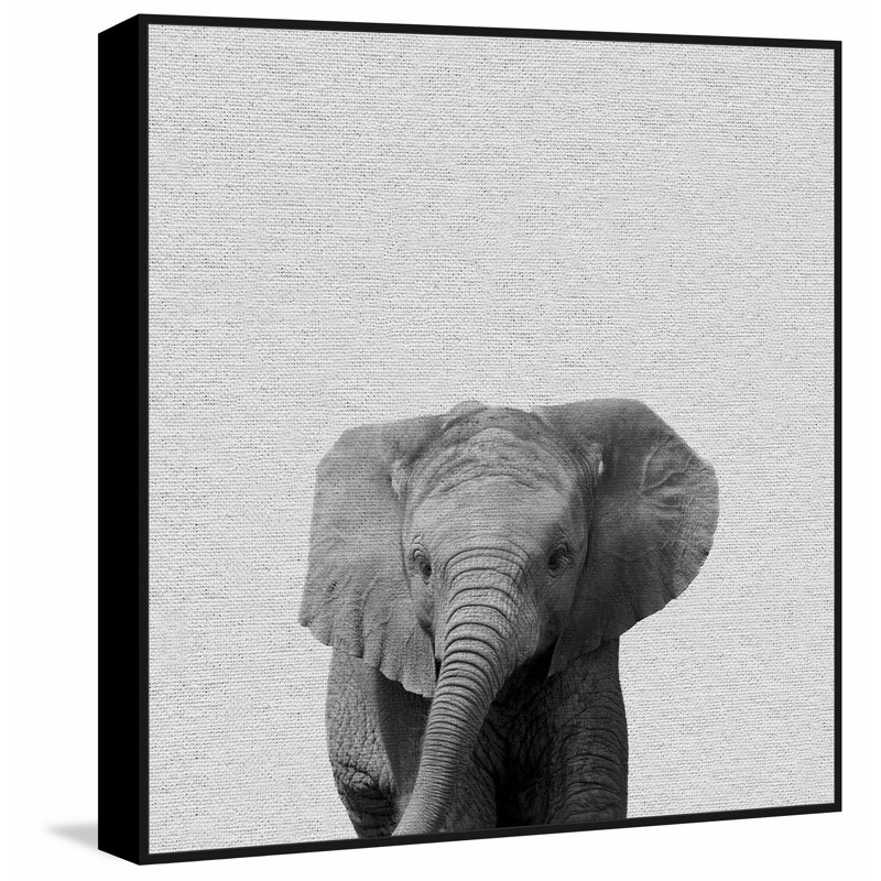 Elephant Surprise II - Drawing on Canvas, 51cm H x 51cm W x 4cm D