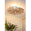 Rio 1 - Light Flush Mounted Sconce-497951874