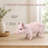 Pig Garden Statue