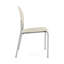 Chaise d'invité sans accoudoir Chat Chat-98671307-105853374