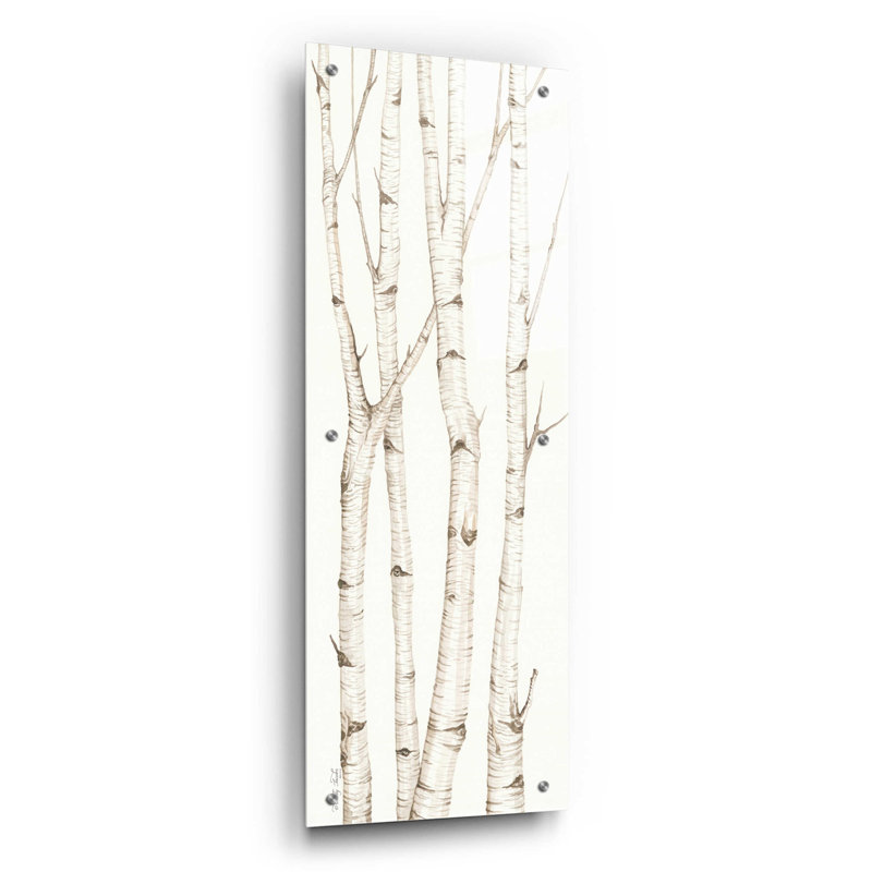 «Birch Trees III» par Cindy Jacobs - impression panoramique sans cadre, H 36 po x l 12 po x P 0,2 po
