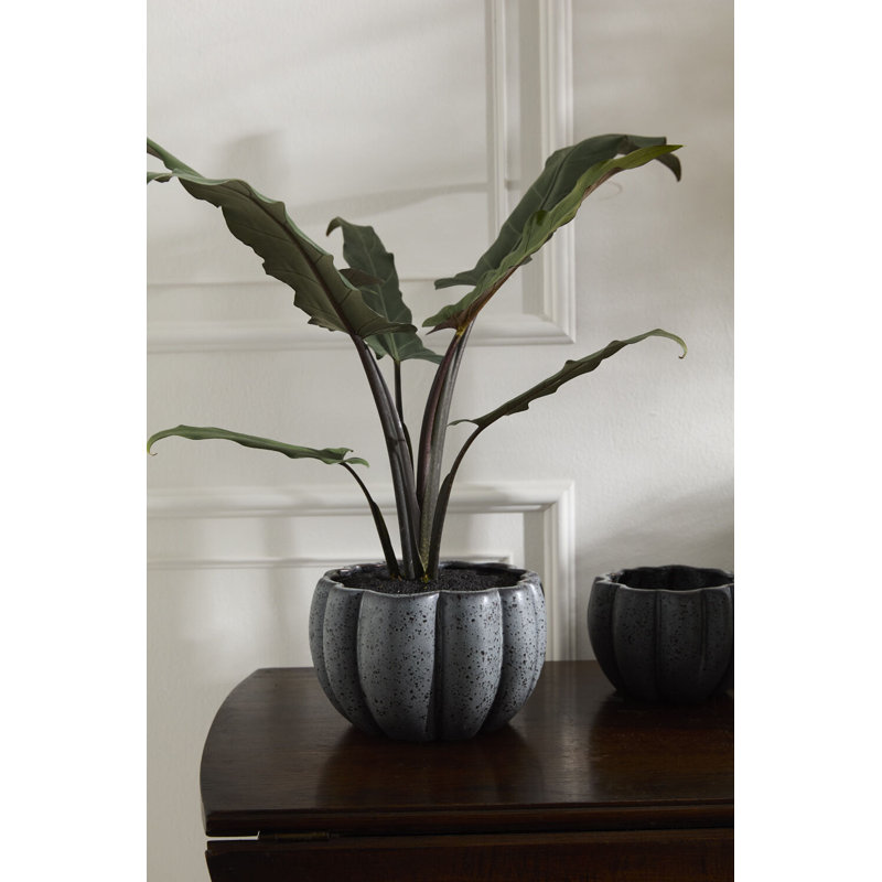 Spiced Pumpkin Pot 8.25"x 5", 5" H x 8.25" W x 8.25" D