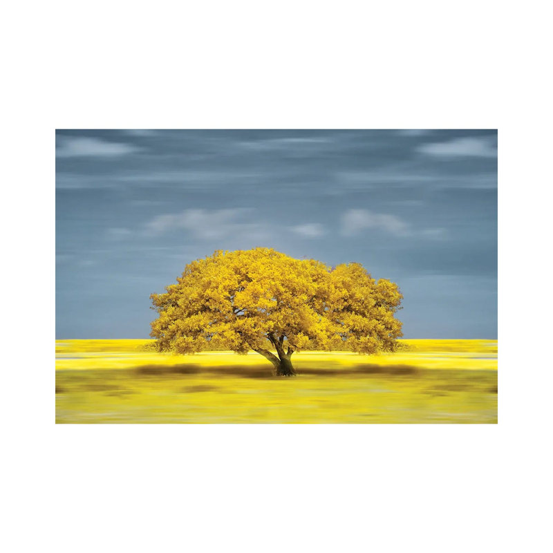 Lonely Yellow On The Field by Glauco Meneghelli - Wrapped Canvas Print, 101.6 cm H x 66.04 cm W x 1.91 cm D