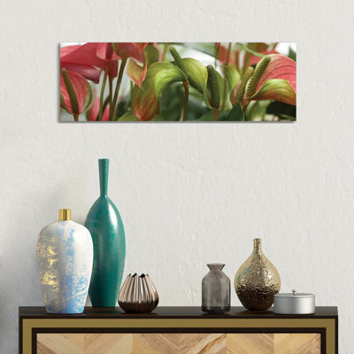 Close-Up Of Anthurium Plant III by Panoramic Images - Panoramic Gallery-Wrapped Canvas Giclée on Canvas
