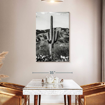 Harnek - Arizona noir - Cactus géant I
