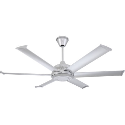 Mammoth Ceiling Fan