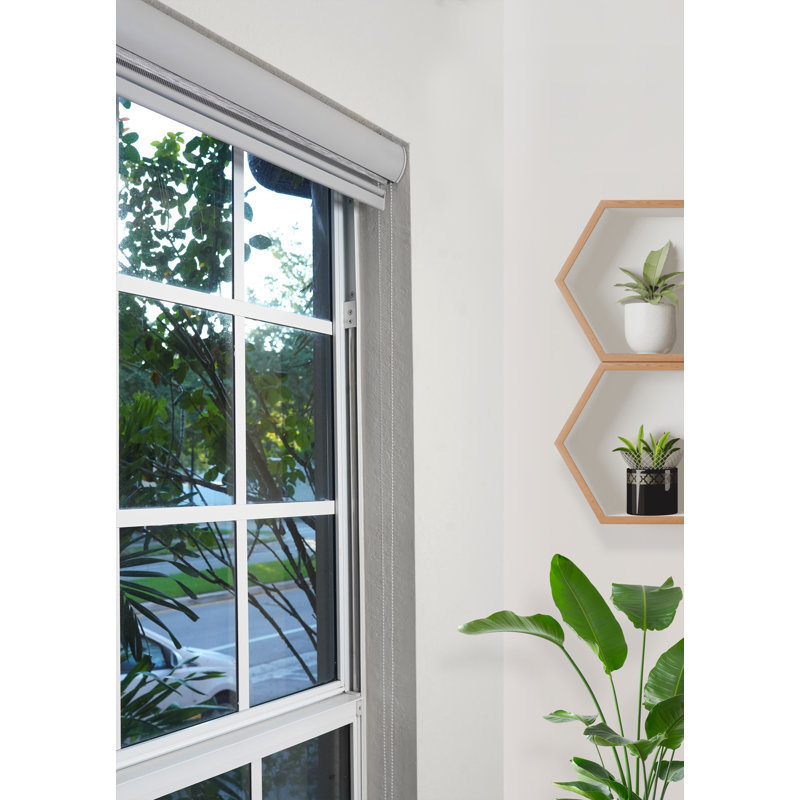 Ahyaan Sheer Roller Shade, 35"W x 78"L, Gray