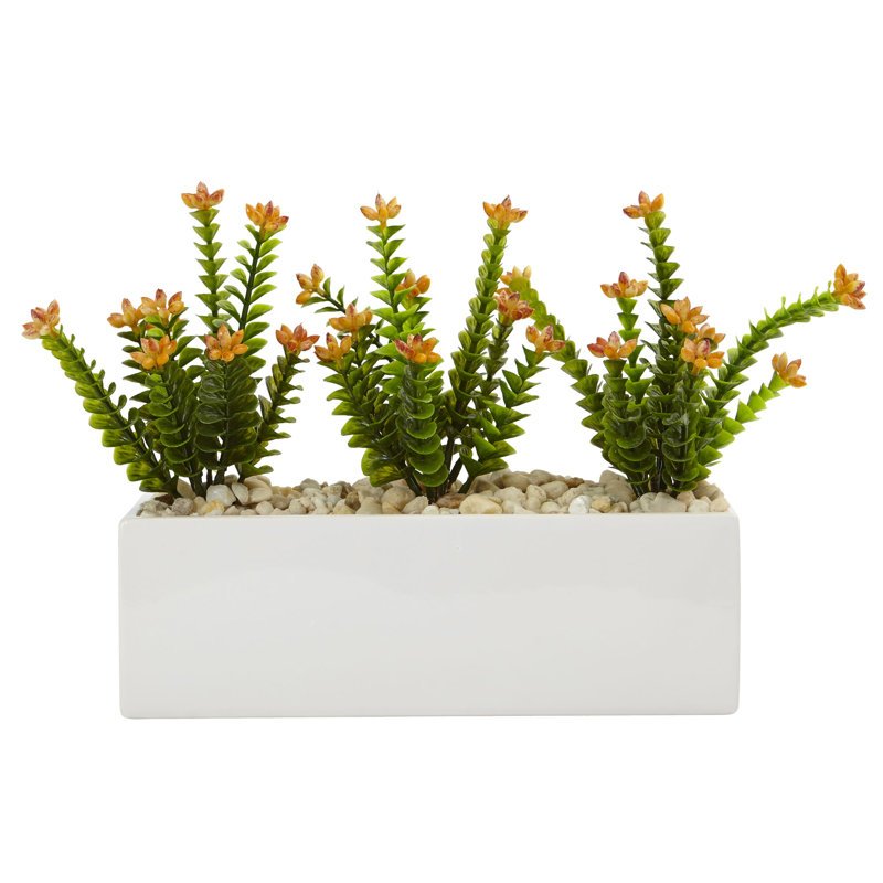 Arrangement floral sedum dans un pot de fleurs