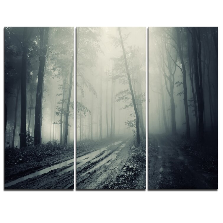 Designart Big Trees in Dark Foggy Forest - Landscape Photography