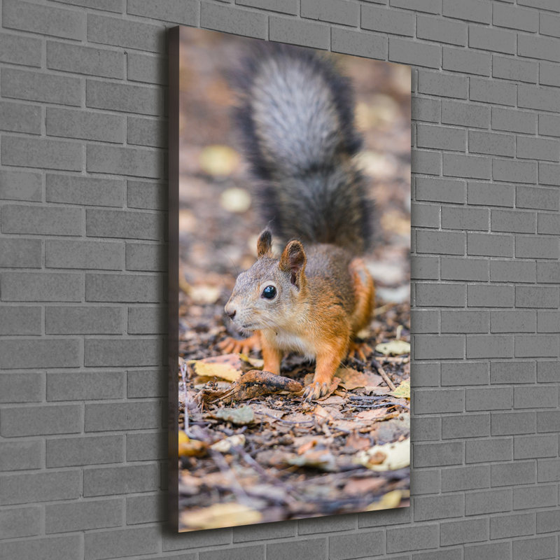 Squirrel In The Forest - Wrapped Canvas Print