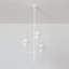 Alora 3 Light Chandelier-1732529421