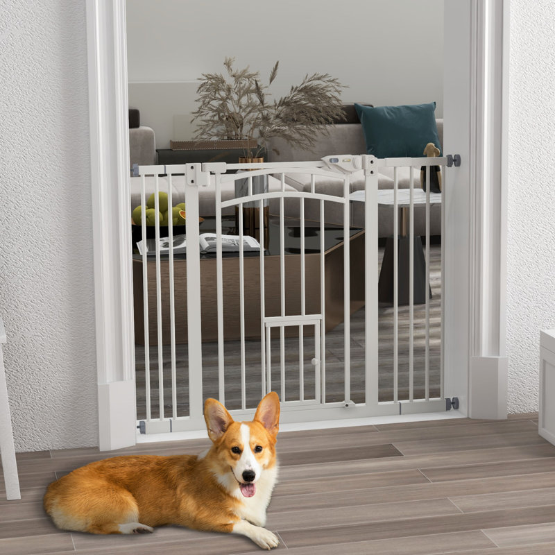 Barrière murale pour animaux Enoc, H 29,9 po x l 39,4 po x P 1,6 po, Blanc