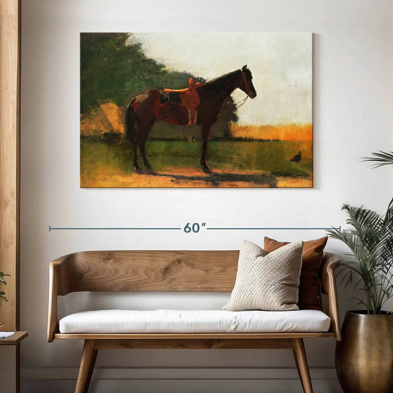 Saddle Horse In Farm Yard