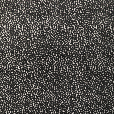 Kravet Design - 36988-8