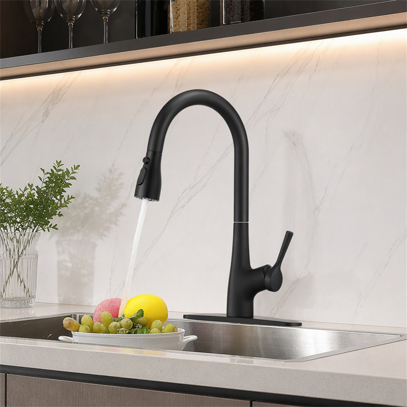 ROBOHIGH Kitchen Faucet Side Spray