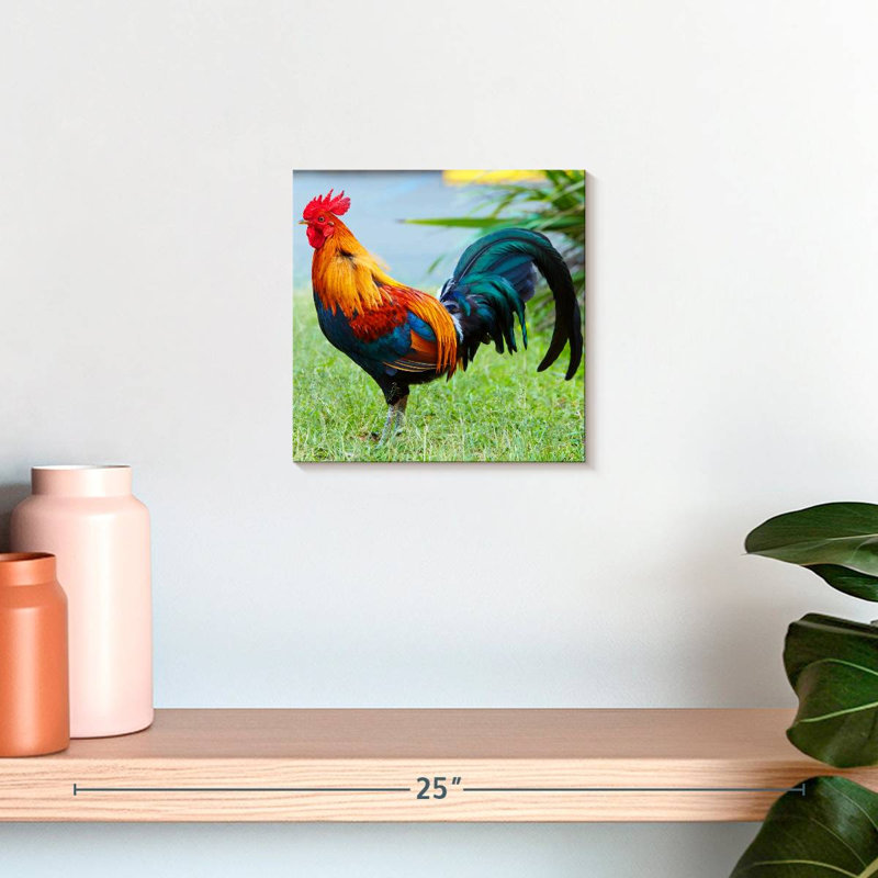 Crowle coq sur l'herbe