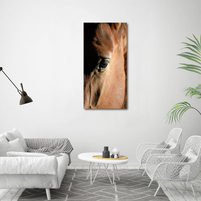 Horse - Wrapped Canvas Print