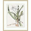 Achromatic Fleur 2 Print