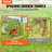 Floden Chicken Run-1187409459