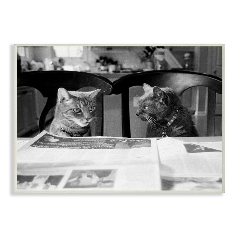 «Cats Gossiping avant le dîner», ensemble d'impression sur toile panoramique, Plaque murale, H 10 po x l 15 po