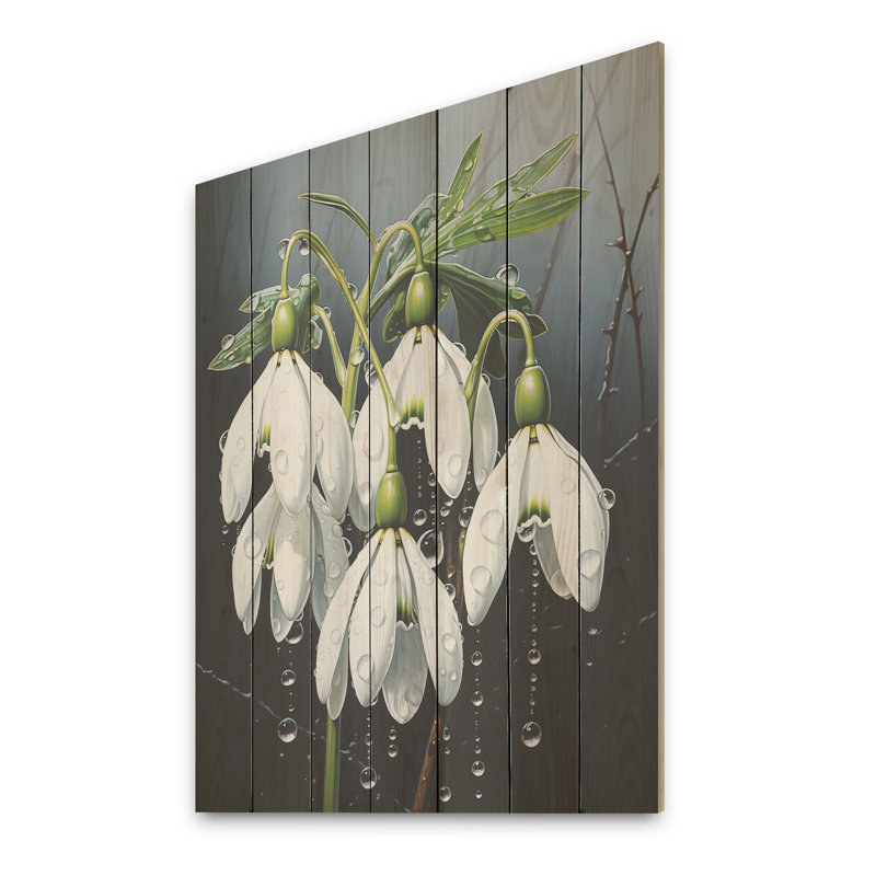 «Morning Hush Snowdrops In Silent White II» - Impressions sur neige, H 20 po x l 10 po