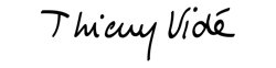 Thierry Vide logo