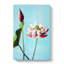 Pink Lotus Flowers by Ogawa Kazumasa - Wrapped Canvas-55325465