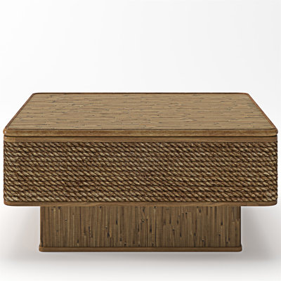 Coffee Table With Adjustable Storage Function