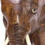 Charming Little Elephant Wood Sculpture