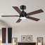 Ventilateur de plafond standard à DEL à 5 pales de 42 po avec télécommande et ensemble d'éclairage inclus Jeason-201321447-201321446