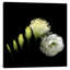 Circumvolution, impression sur toile tendue-18415523-74427735-74427736