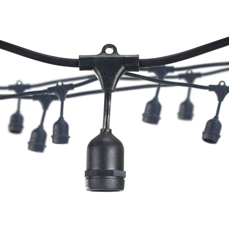 Kaikoa Outdoor 12 - Bulb 360'' Plug-in String Light