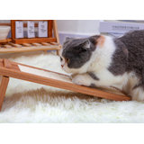 PetPals 16" Scratching Pad