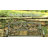 50" Celtic Knot Metal Garden Bench