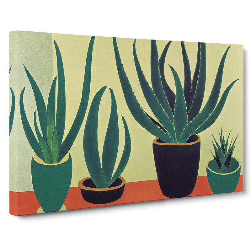 Aloe Vera Plants - Wrapped Canvas