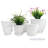 Delva Pot Planter-1722595714