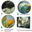 Sons de la jungle II sur toile-426738647-426738653