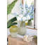 Vase en verre D6.5x12.5 ", vert