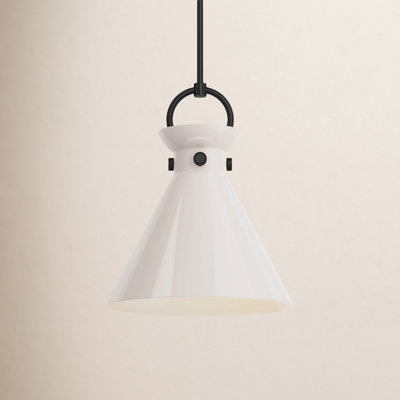 Tiney Single Light Glass Steel Pendant