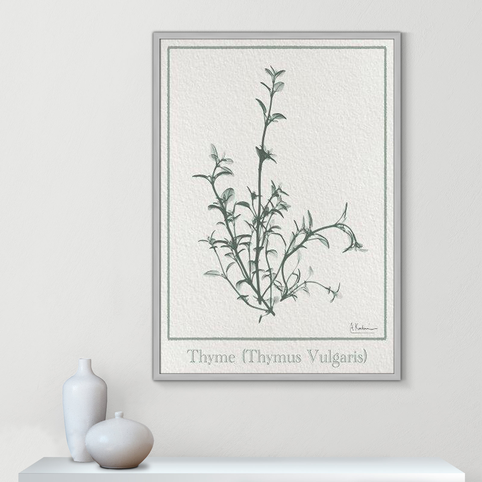 Jeanette "Thymus Vulgaris" Print, Matte Silver Framed Paper, 41.5" H x 29.5" W x 1.25" D