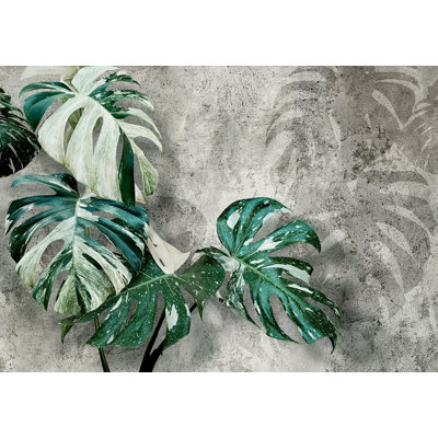 Papier peint botanique - Monstera moderne