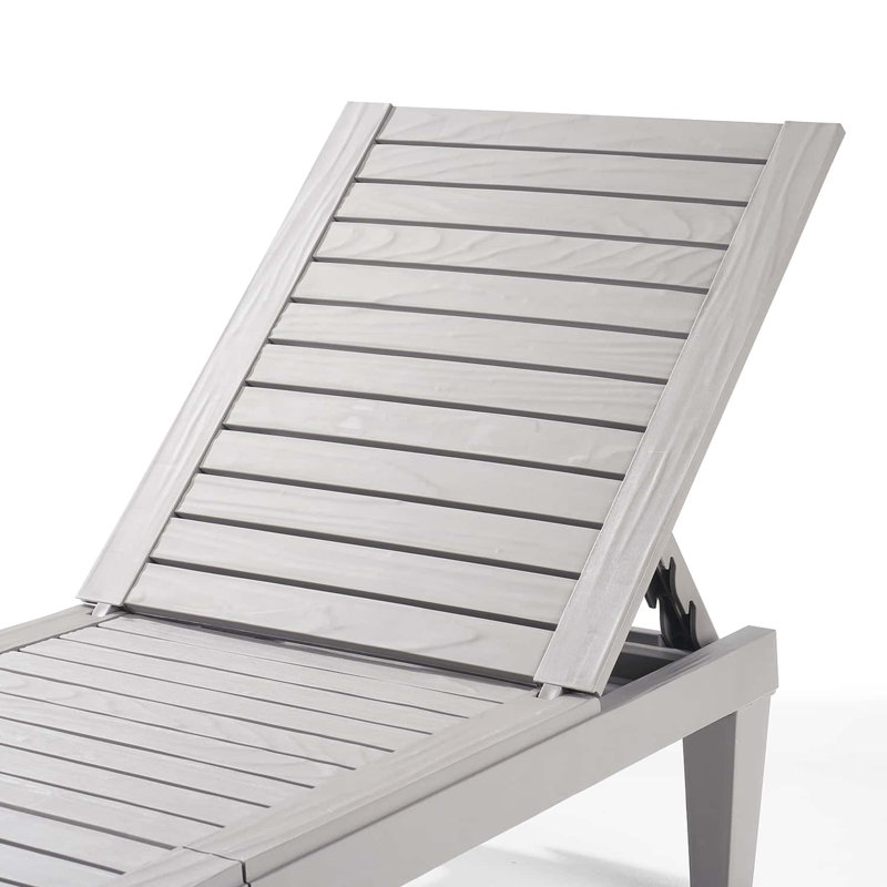 Gray Adjustable Polyresin Outdoor Chaise Lounge Set