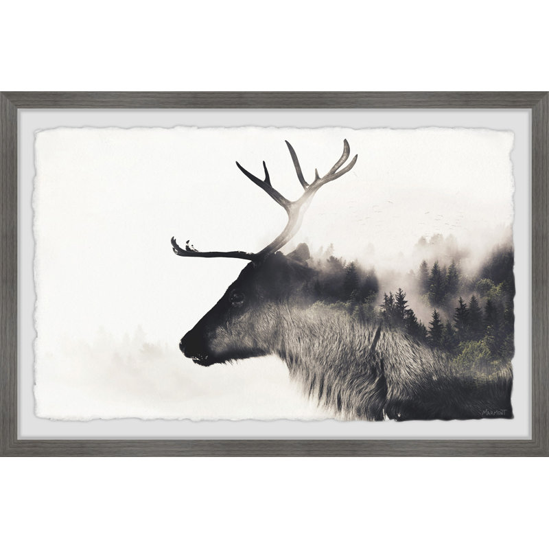 Mountain Deer - Single Picture Frame Print, 41cm H x 61cm W x 3.81cm D